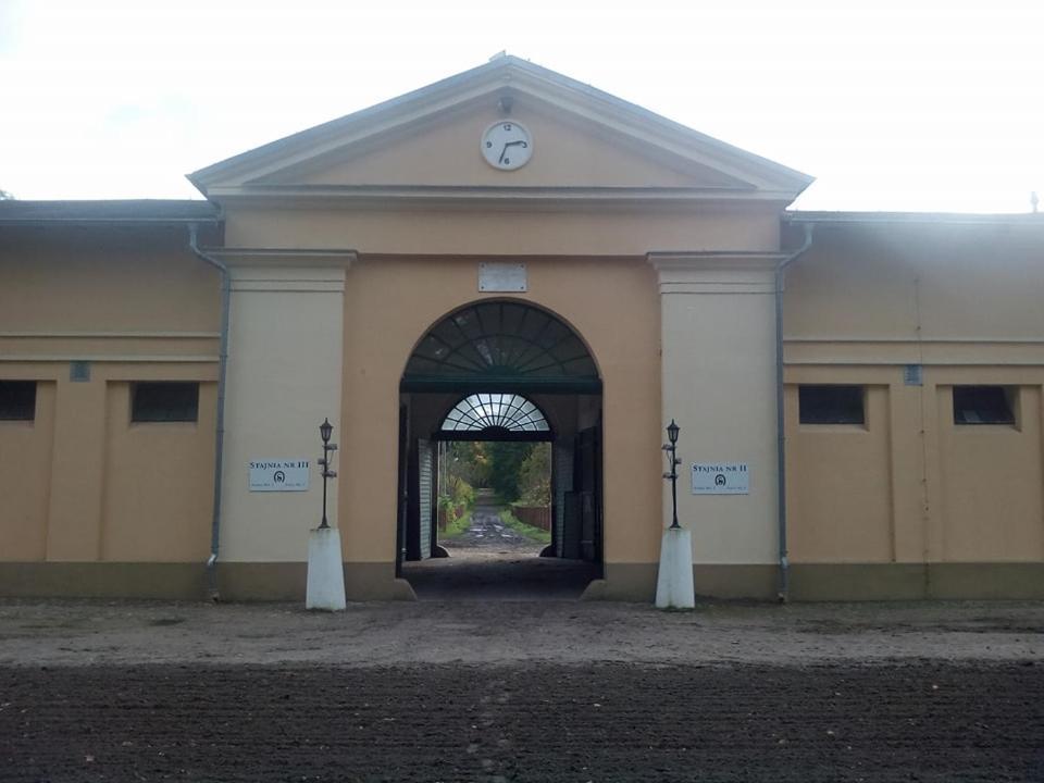 Rezort Stado Ogierow Sierakow Sierakow (Greater Poland)